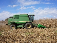 Combine Harvesting Organic Corn