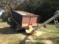 Dumping Corn