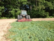 Rolled Cover Crop