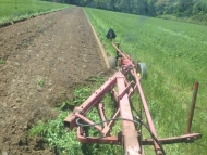 Cover Crop Plow Down